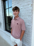 Winery Evans Polo