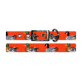 Duck Duck Goose Dog Collar