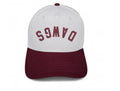 The DAWGS Upside Down Two-Tone Hat