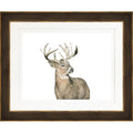 Deer 3 Frame