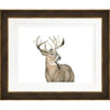 Deer 3 Frame