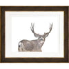 Deer 4 Frame