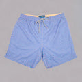 Boy's Nautical Mesh Swim Trunks