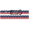 Old Glory Dog Collar