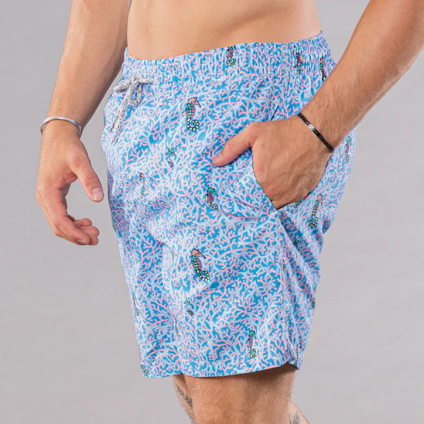 Rainbow Seahorses Swim Trunks