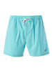 Fieldstone Mint Swim Shorts