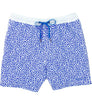 Riviera Swim Trunk Reef