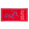 Nautical Duck Head Supply Co. Beach Towel